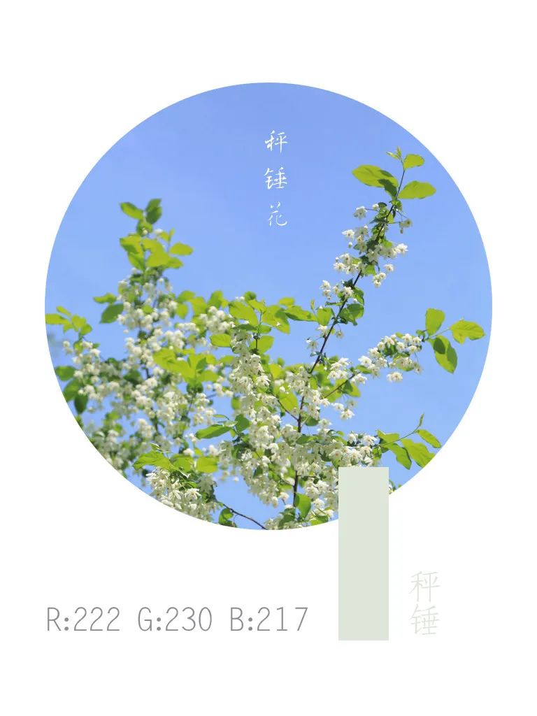 202304200922174084.jpg