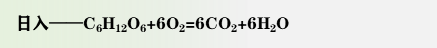 202204131955176037.png
