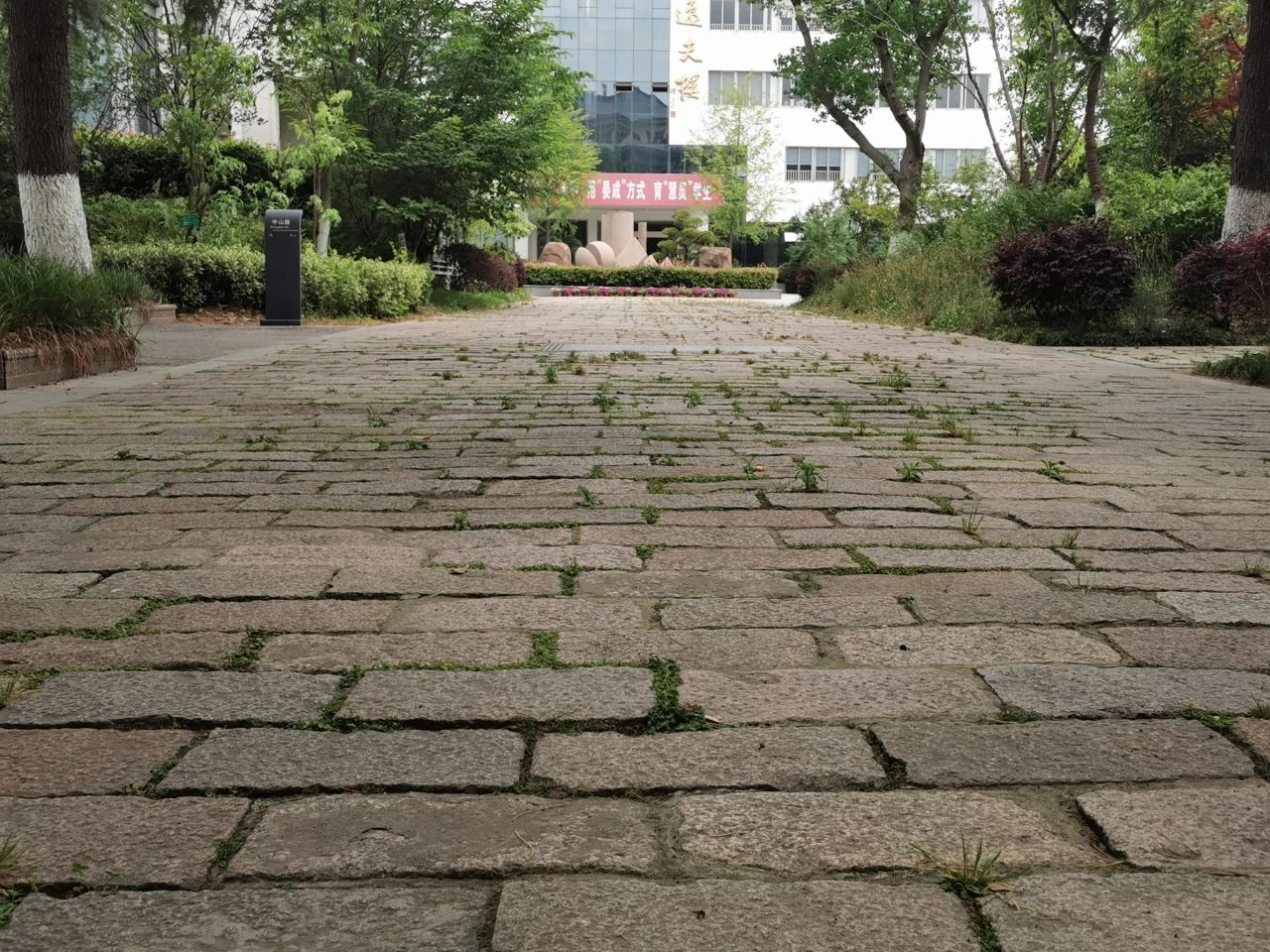 202005251232037119.jpg