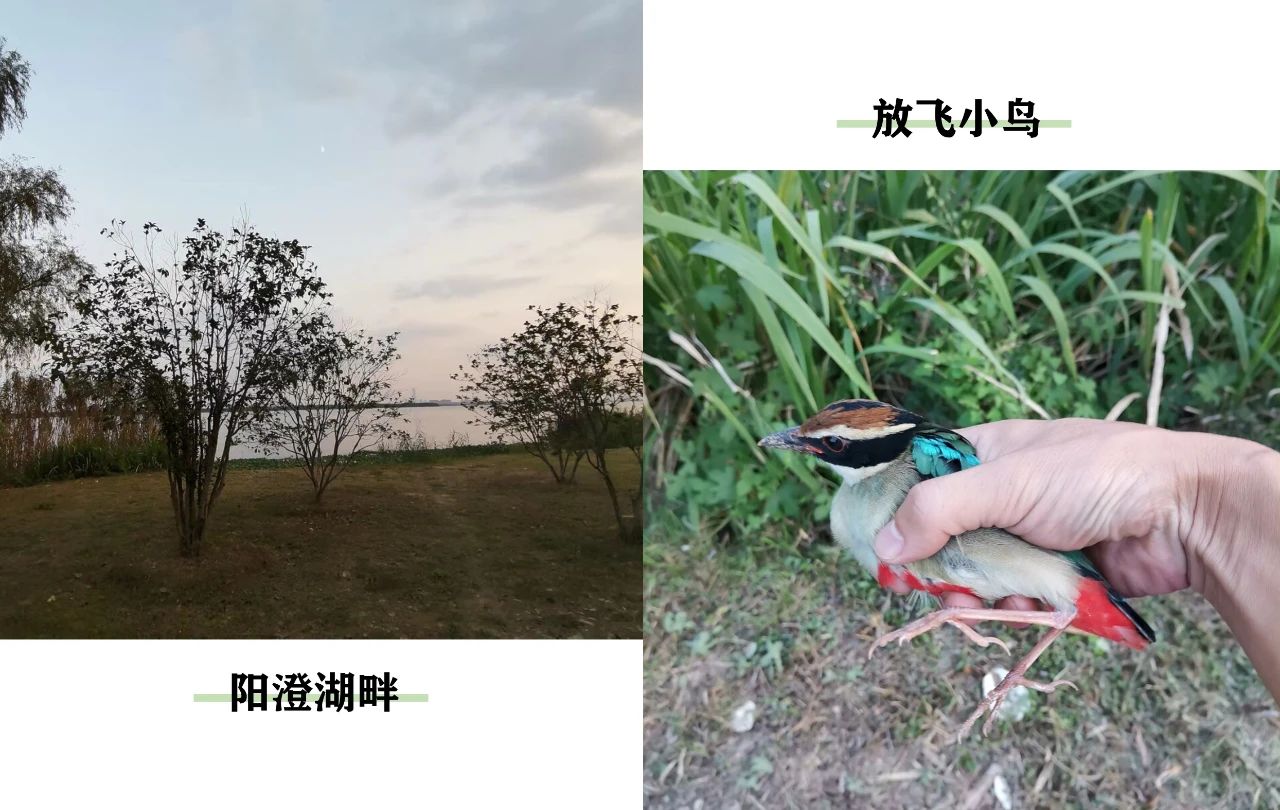 202010100951374460.jpg
